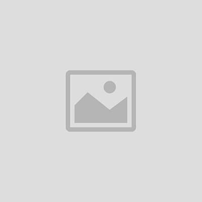Ceramic Materials