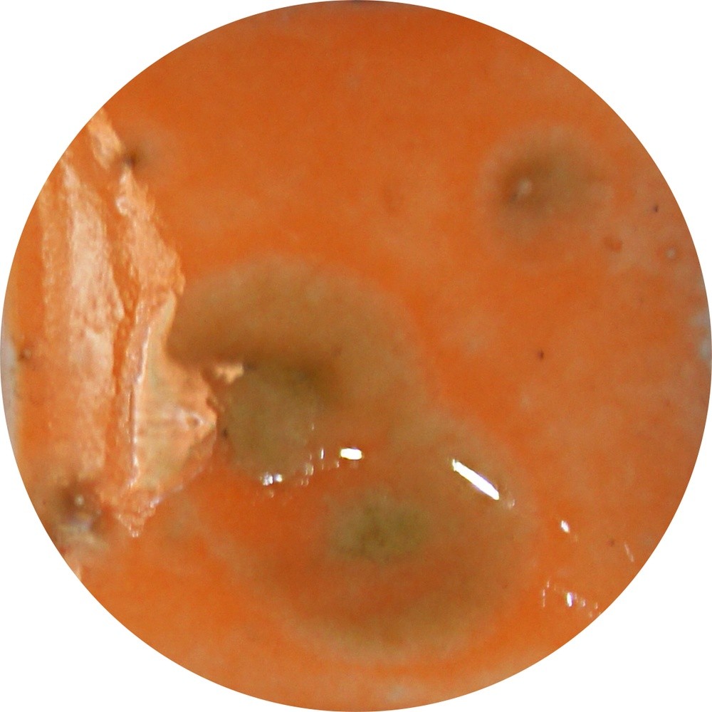 FG041H chrysanthos Sundance Fantasy Glaze H