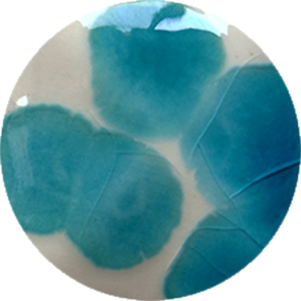 FC027 chrysanthos Fantasy Crystal Copper
