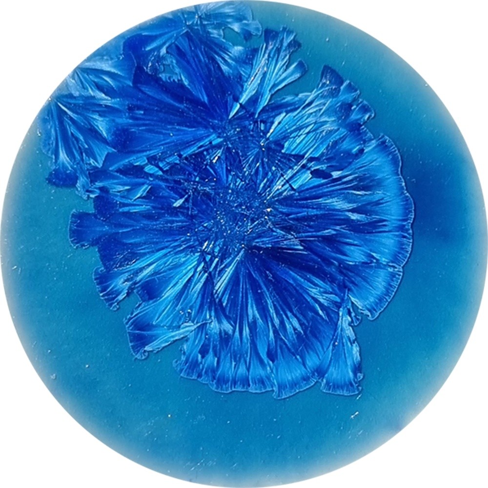 SN027 chrysanthos Supernova Rigel