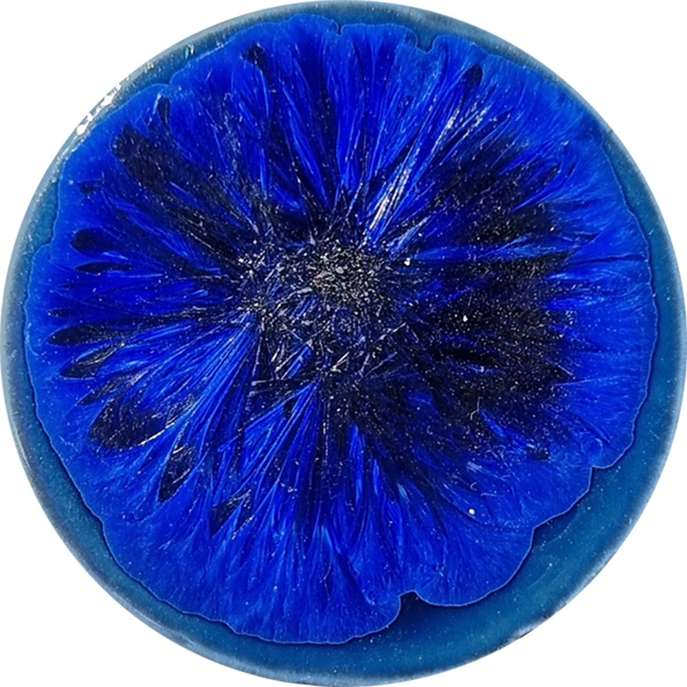 SN033 chrysanthos Supernova Fang
