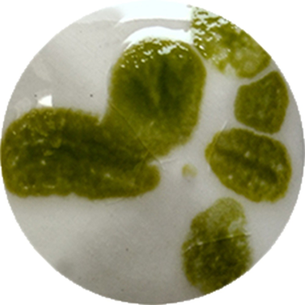 FC021 chrysanthos Fantasy Crystal Green