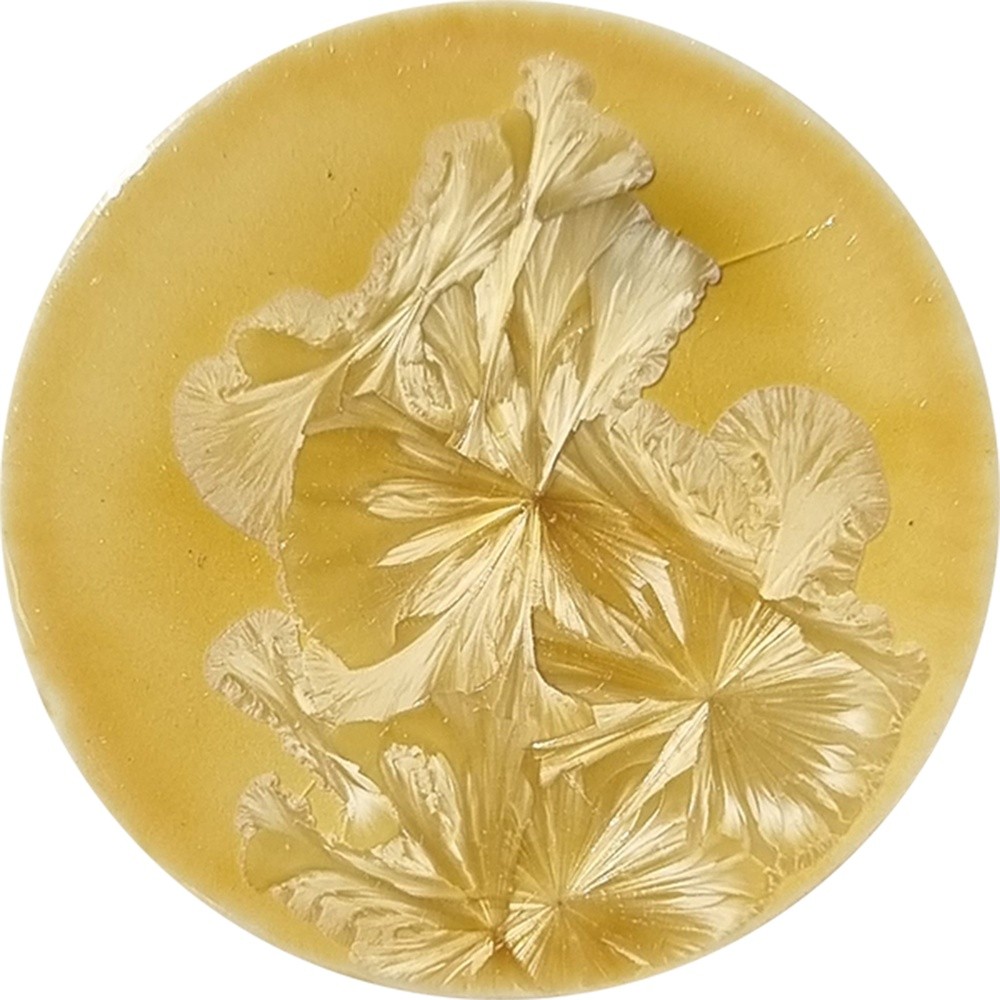 SN005 chrysanthos Supernova Kaus Borealis