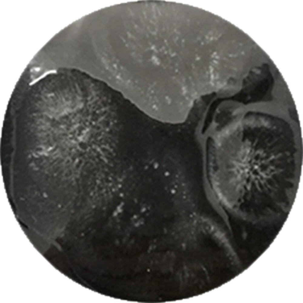 FC001 chrysanthos Fantasy Crystal Clear