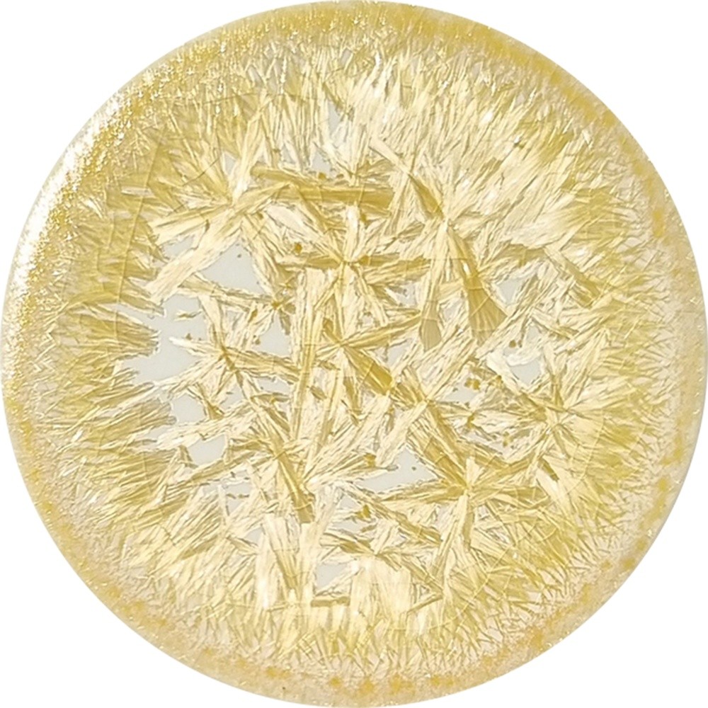 SN101 chrysanthos Supernova Wezen