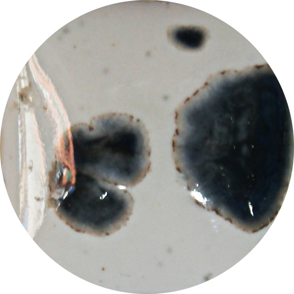 FG003H chrysanthos Dalmation Fantasy Glaze H