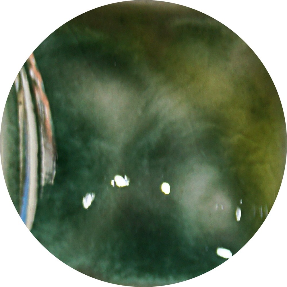 FG141H chrysanthos Envy Fantasy Glaze H