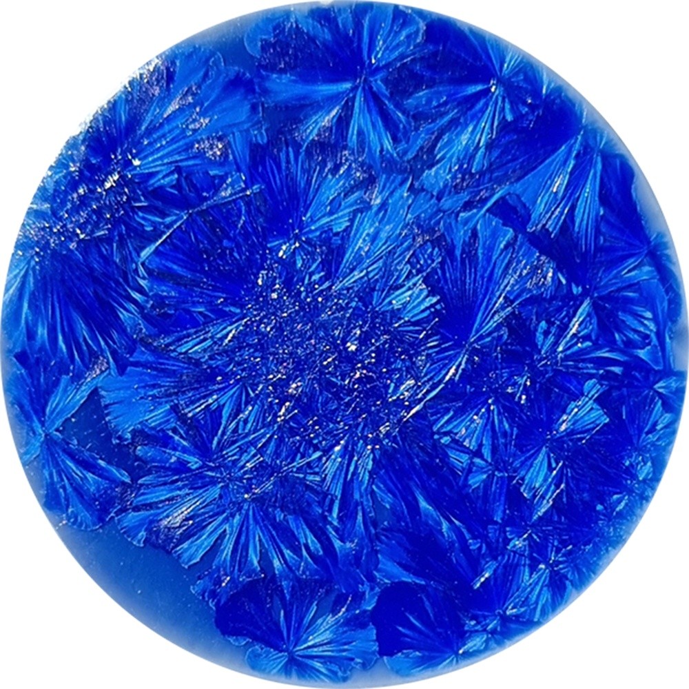 SN029 chrysanthos Supernova Anser