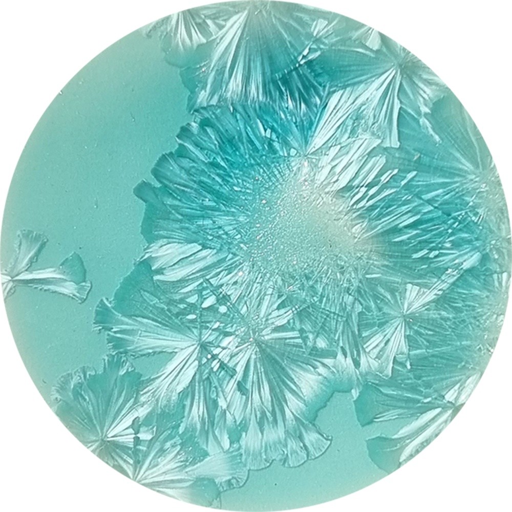 SN015 chrysanthos Supernova Electra