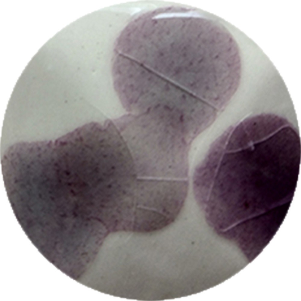 FC018 chrysanthos Fantasy Crystal Violet